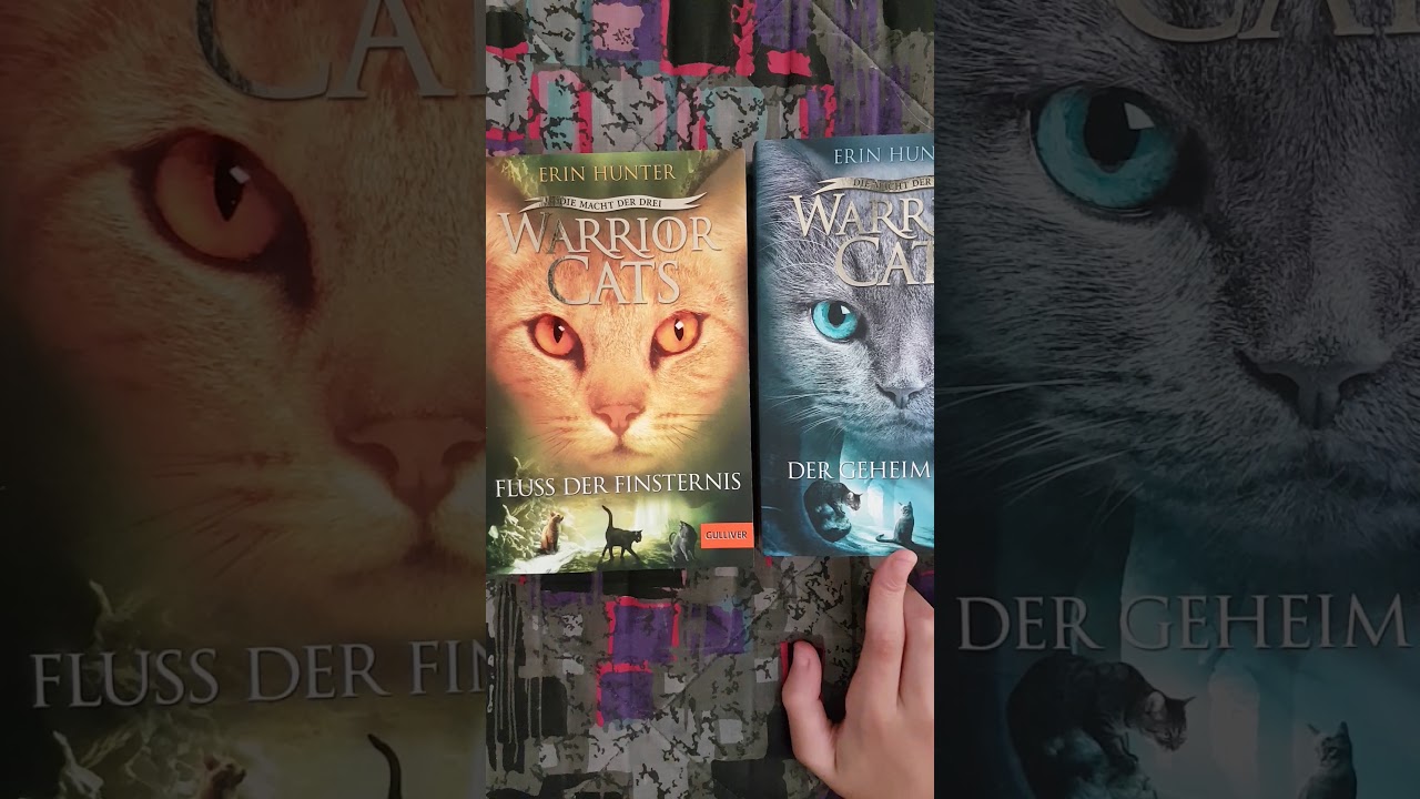 Meine jetzigen Warrior Cats Bücher