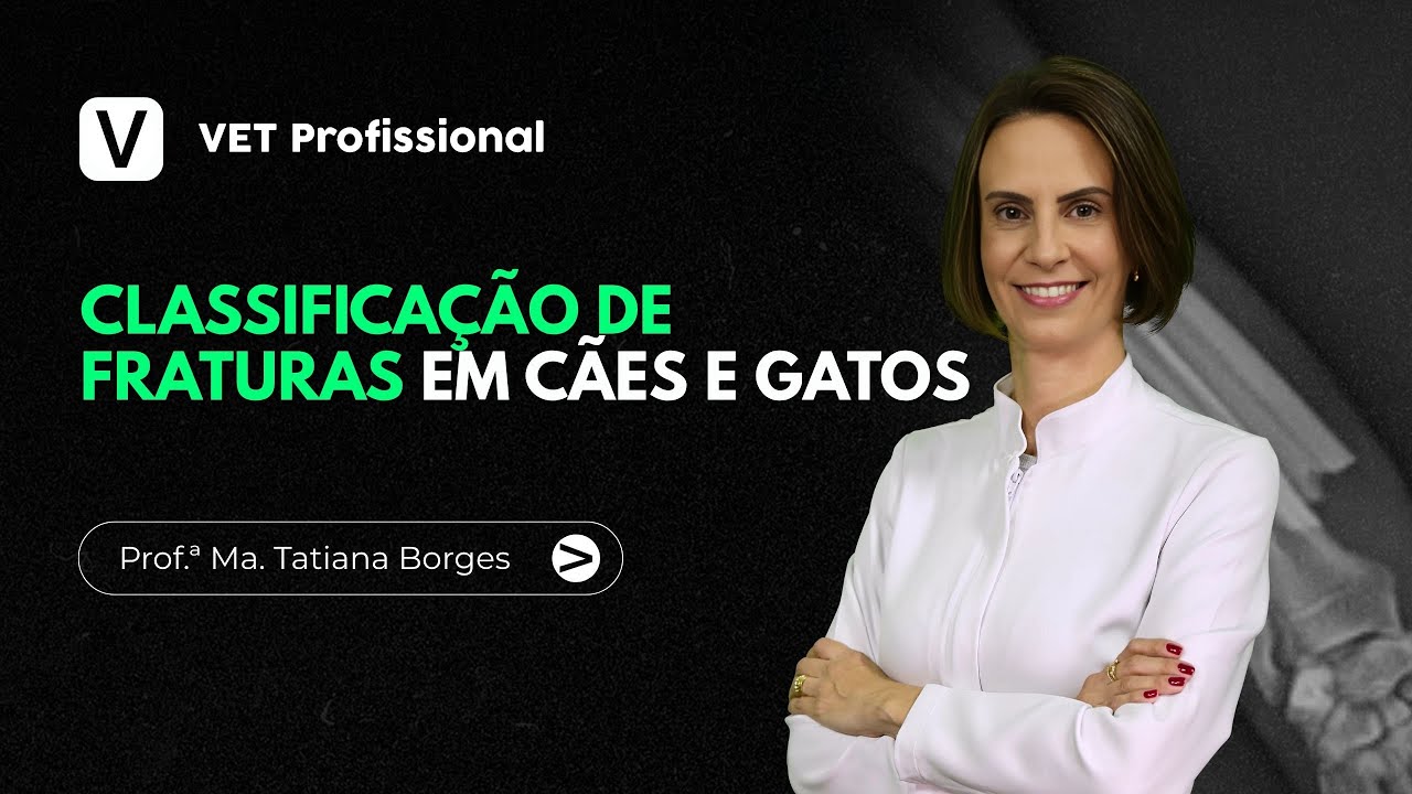 Classificação de Fraturas em Cães e Gatos | VET Profissional