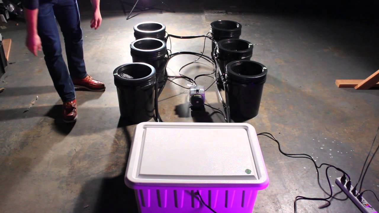 Bubble Flow Buckets. How to grow with 2012 best bucket system