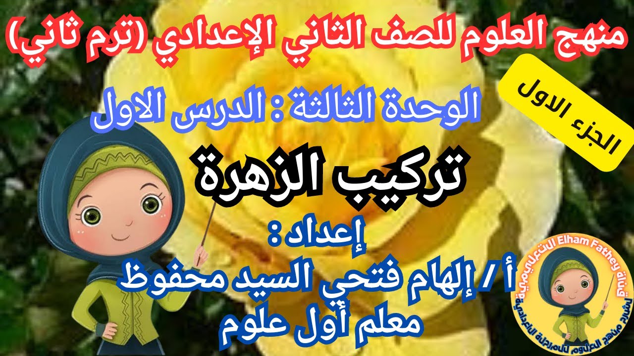 تركيب الزهرة للصف الثاني الإعدادي