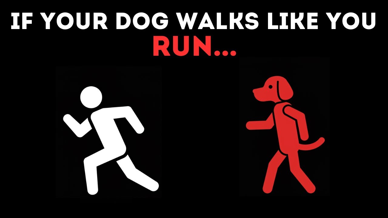 If Your Dog Walks Like a Person… RUN