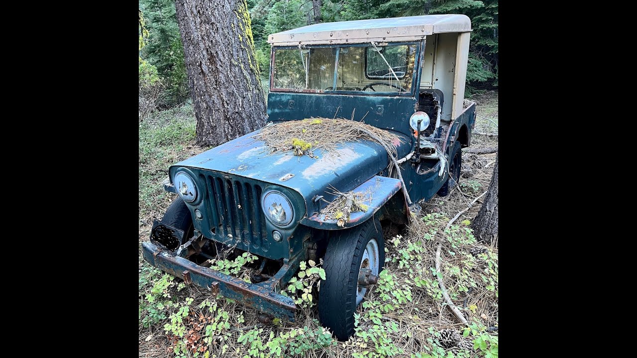 Заведётся ли он после 40 лет простоя в лесу? Willys CJ2a 1946 года, найденный в лесу.