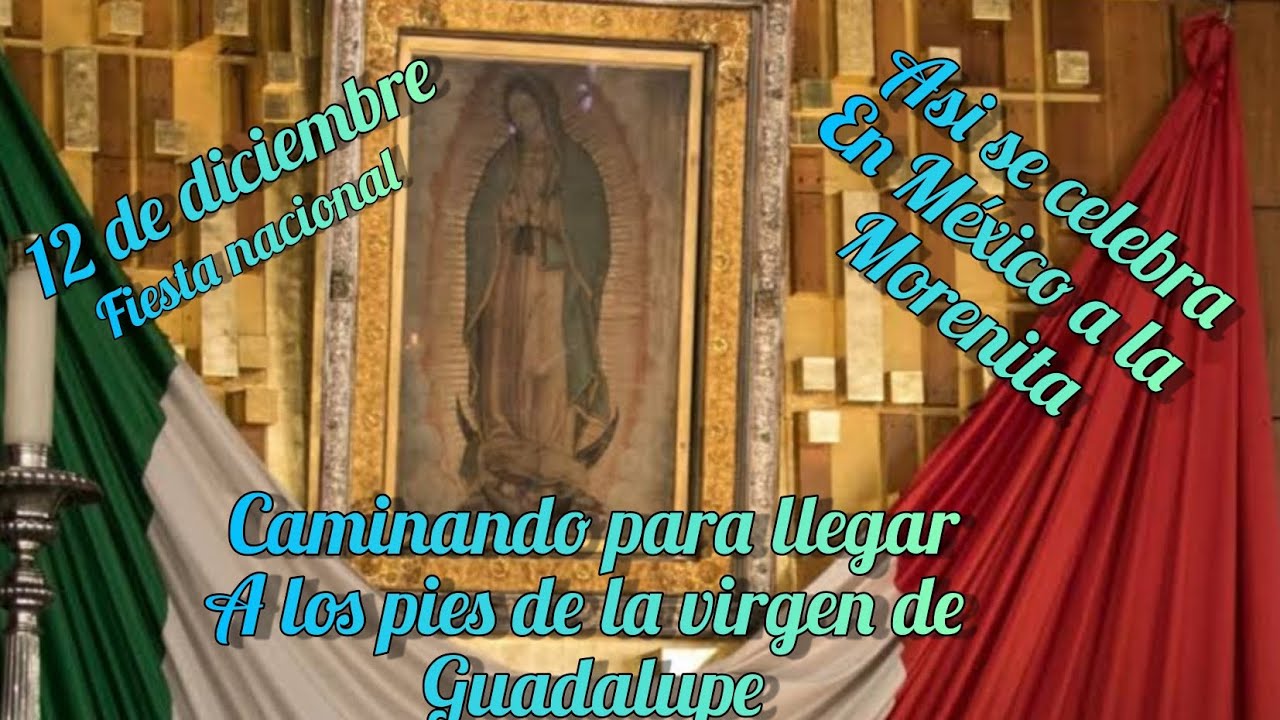Todo México a los pies de la virgen de Guadalupe 2023.