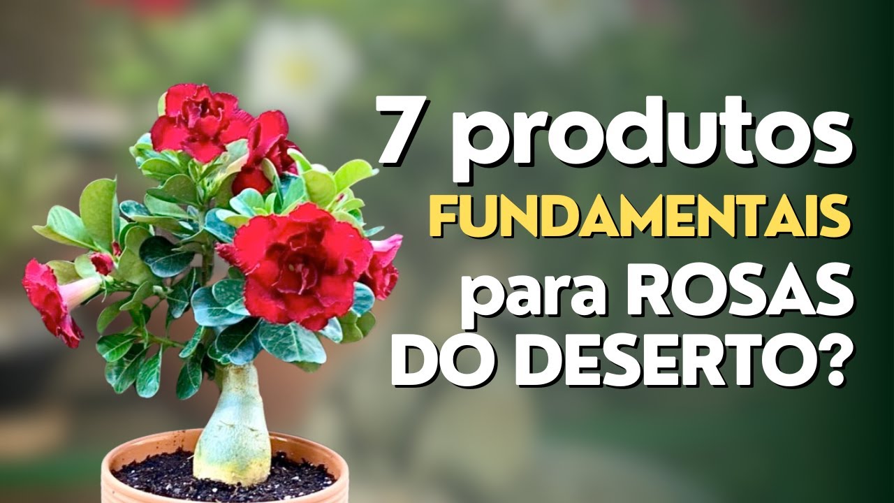 7 Produtos fundamentais para o cultivo de Rosas do Deserto!