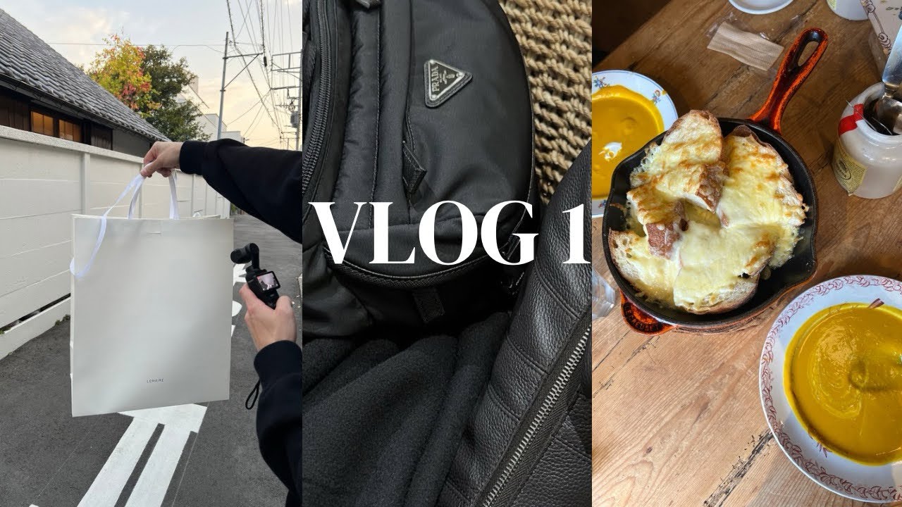 Tokyo diary /会社員の休日vlog