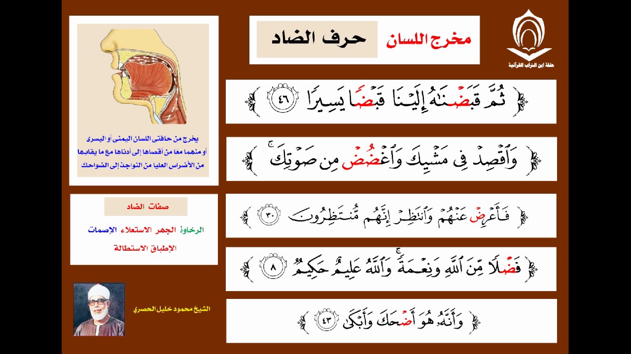 0012 تمارين على نطق حرف الضاد