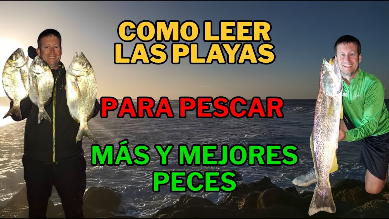 🔥🎣 COMO LEER LAS PLAYAS PARA CAPTURAR MÁS Y MEJORES PECES🎣🔥📉MASTERCLASS SURFCASTING📈