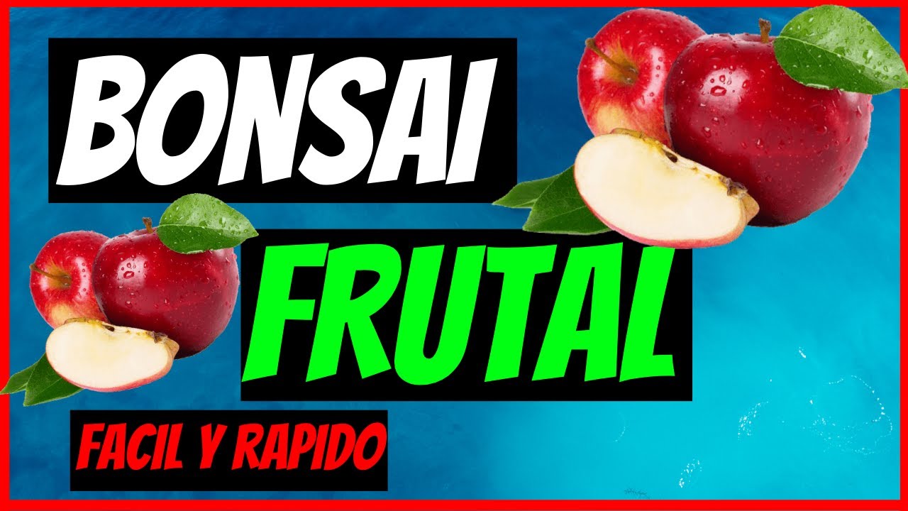 COMO HACER UN BONSAI FRUTAL MUY FÁCIL Y RÁPIDO (introducción)😉🌳