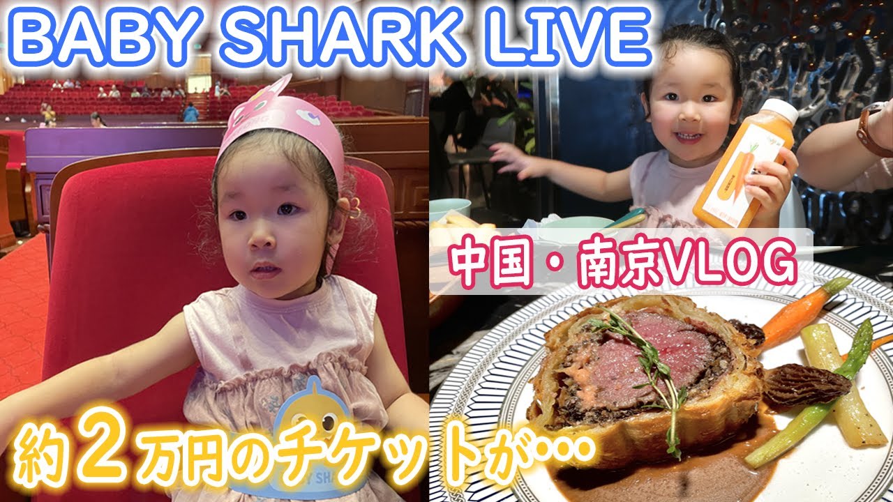 【日中夫婦】チケット代奮発してベイビーシャークのショーを見に行ったVLOG｜フォアグラとステーキのパイ包みが美味しすぎた｜中国南京のオシャレレストランへ｜BabySharkShow in China