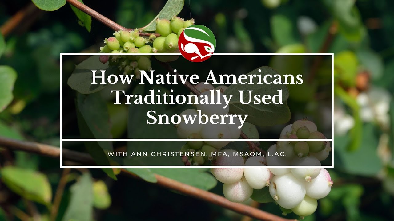 How Native Americans Traditionally Used Snowberry