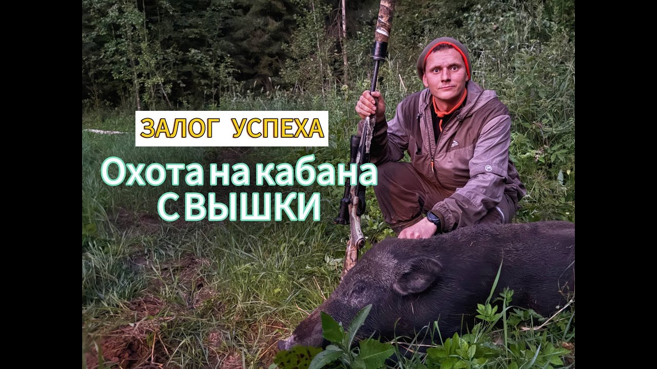 ОХОТА  НА КАБАНА С ВЫШКИ, НЕПРОСТО, НО РЕЗУЛЬТАТИВНО!