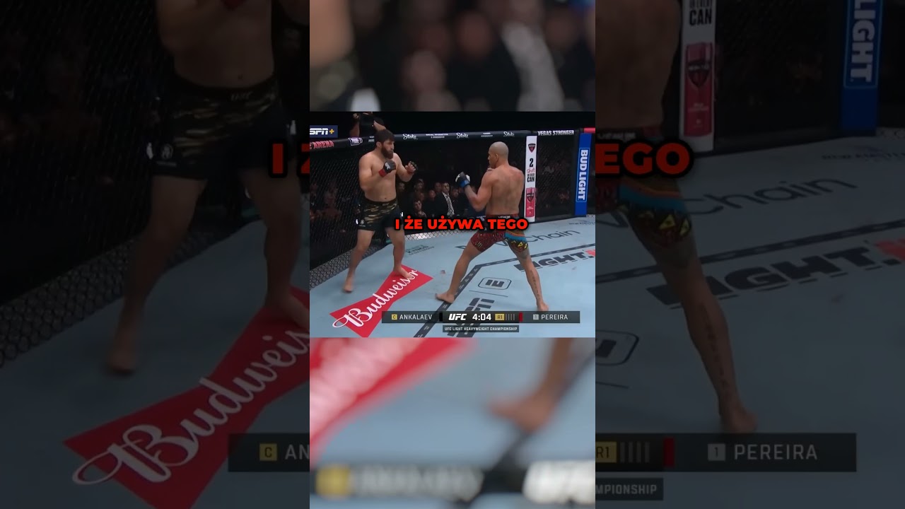 ZWYZYWAŁ MATKE PEREIRY! #dc #viral #ufc #mmapolska #mma #pereira #topuria #ufcpolska #gofrez #fyp