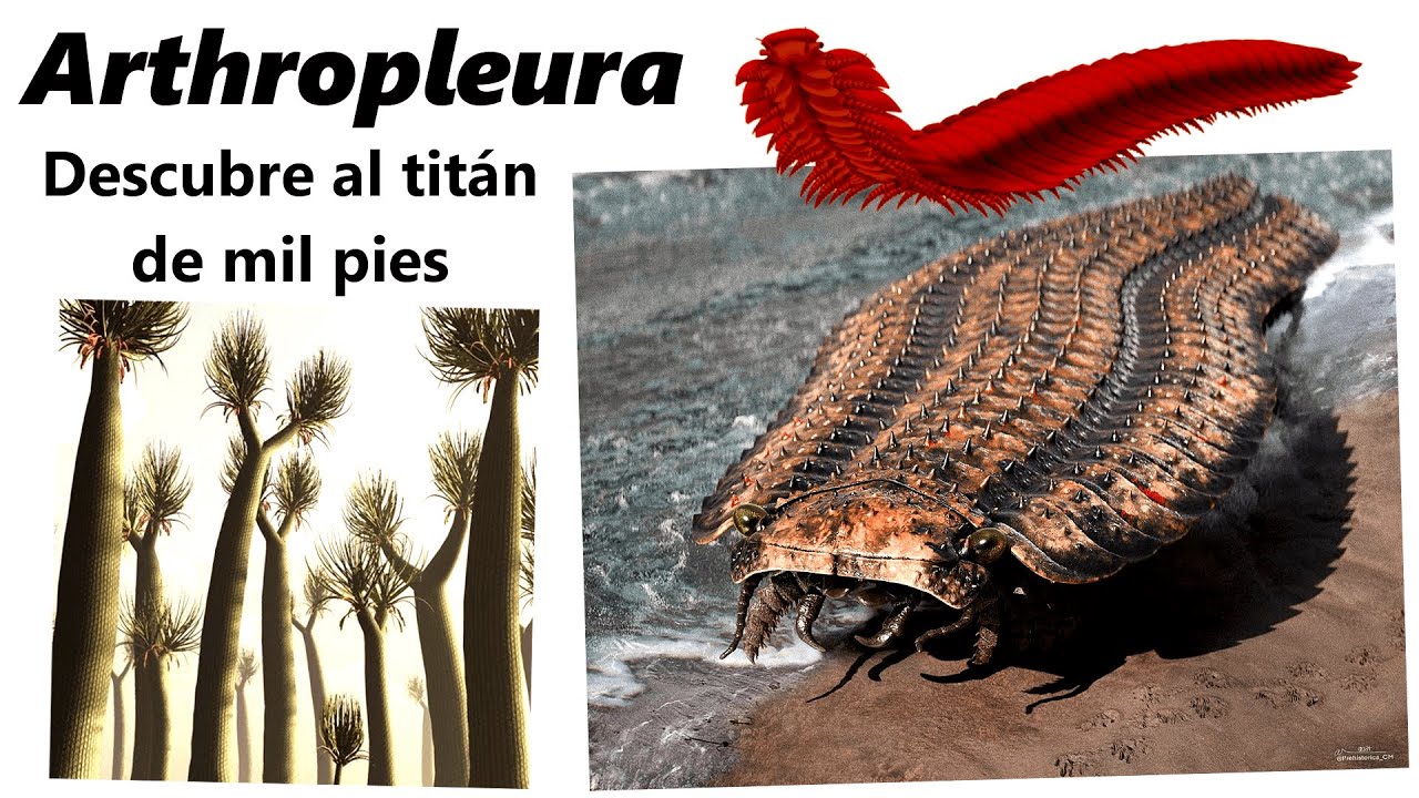 Los titanes del Carbonífero. Descubre a las artropleuras