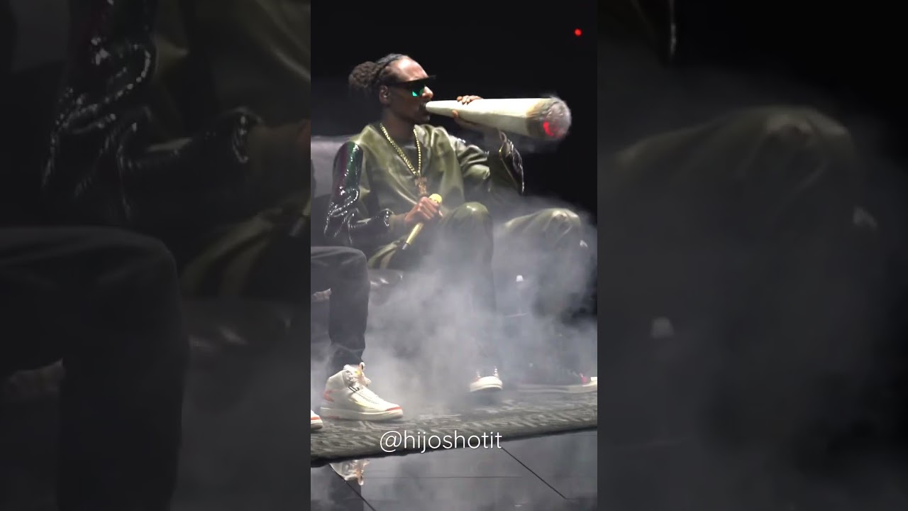 SNOOP DOGG GETTING EMINEM HIGH AS HELL AT THE VMAS.