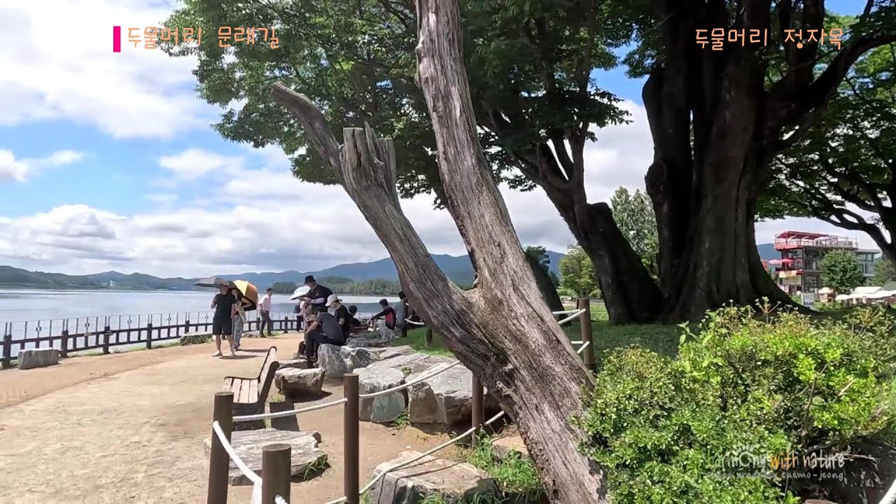 양평 두물머리 문래길 Dumulmuari Mulaegil Road