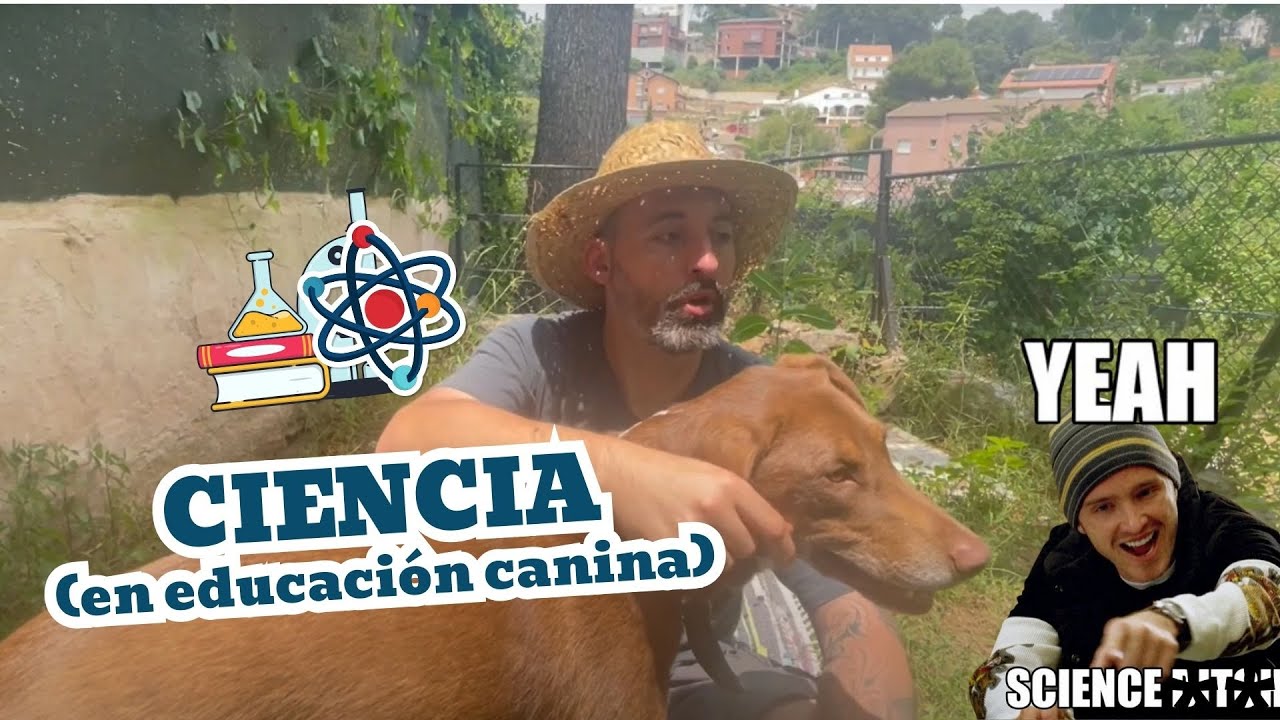 CIENCIA en la EDUCACIÓN CANINA 🔬