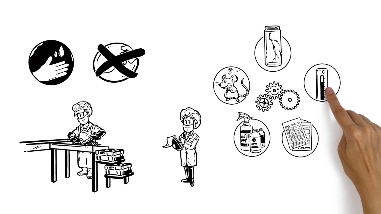 IFS simpleshow process audit HR