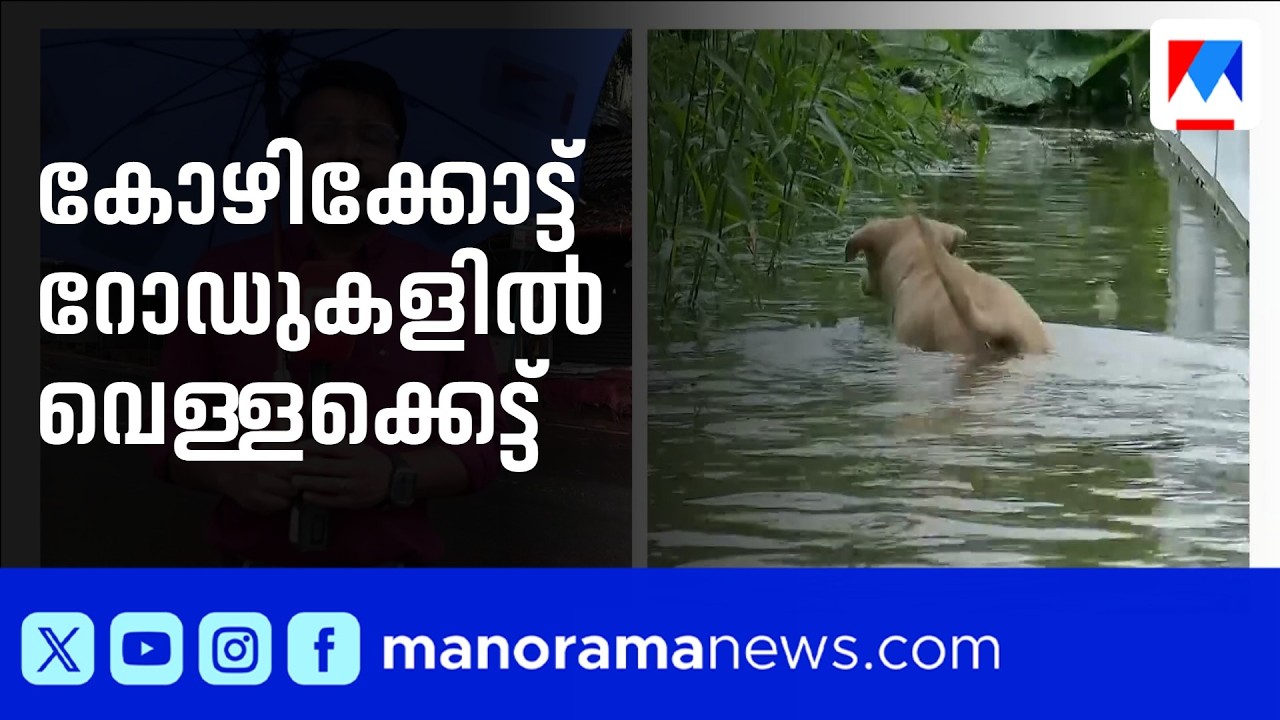 കോഴിക്കോട്ട് ശക്തമായ മഴയും വെള്ളക്കെട്ടും; അണക്കെട്ട് തുറന്നു | Kozhikode | Rain | Kerala Floods