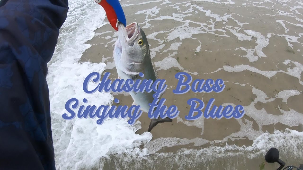 Surf Fishing Long Island for Stripped Bass and Bluefish