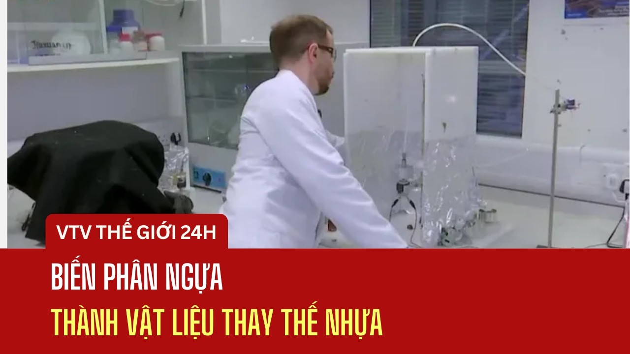 Biến phân ngựa thành vật liệu thay thế nhựa | Thế giới 24h