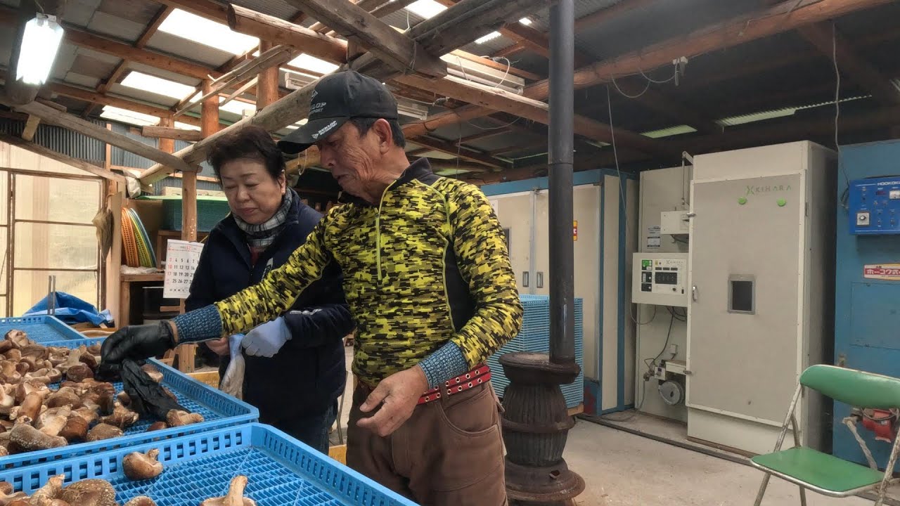 ＃021原木椎茸乾燥場その１