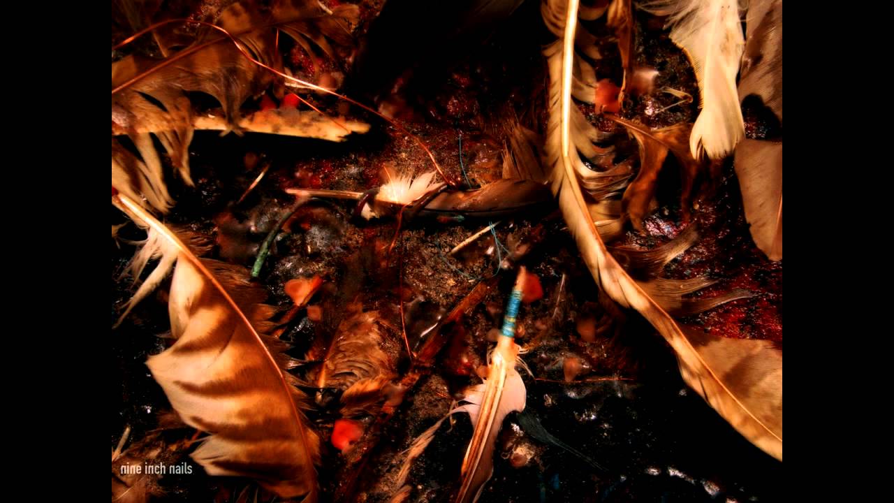 Nine Inch Nails - Ruiner (5.1 / Surround Mix)