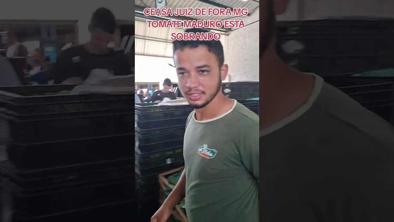 CEASA JUIZ DE FORA MG TOMATE MADURO SOBRANDO NO MERCADO 