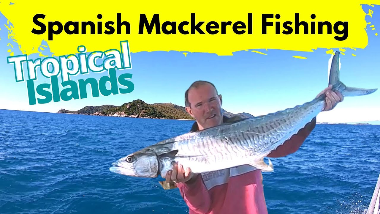 Fishing for Spanish Mackerel in Tropical Islands of Australia | Palm Island Group Nth Qld