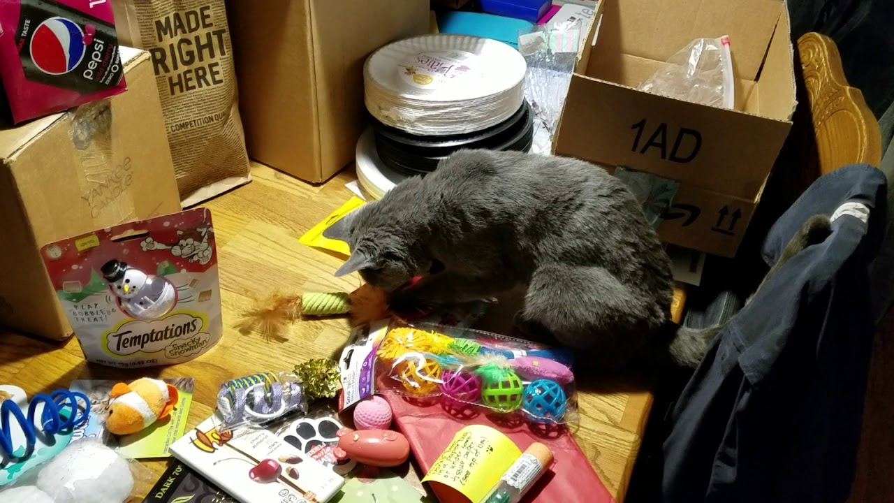 KA Secret Santa Unboxing - Aftermath
