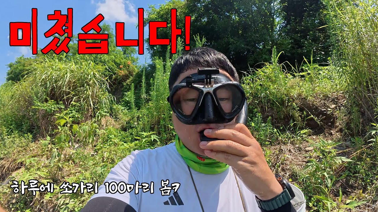 하루종일 잠수해봤더니 쏘가리 100마리 장어 2마리 초대물까지! 미쳤습니다!