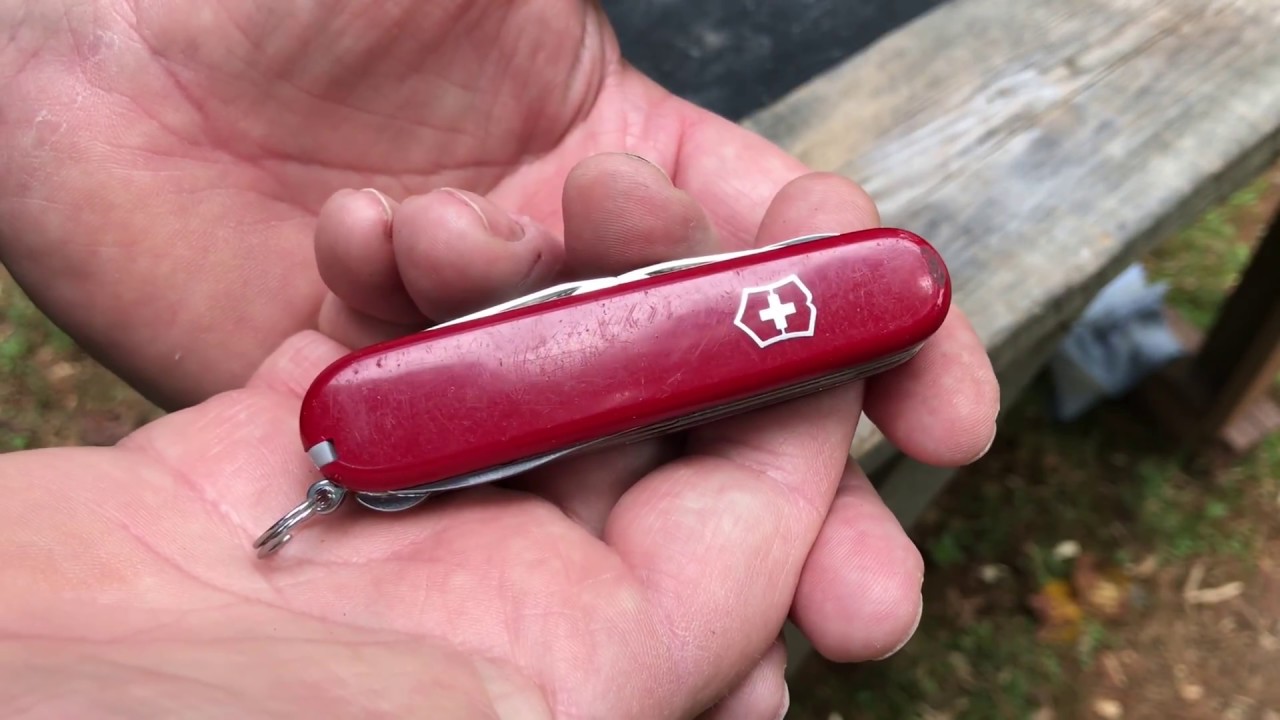 Bow Drill, I Only used a Victorinox Fieldmaster, Swiss Army Knife and Freshly Found Materials