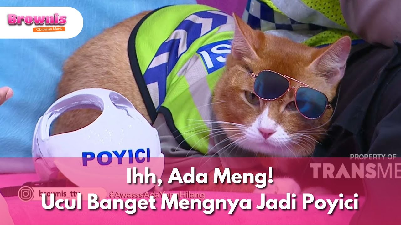 Ihh, Ada Meng! Ucul Banget Mengnya Jadi Poyici - BROWNIS (24/4/25) P3