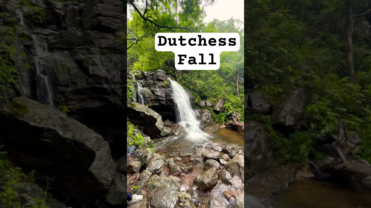 Dutchess Fall - Pachmarhi