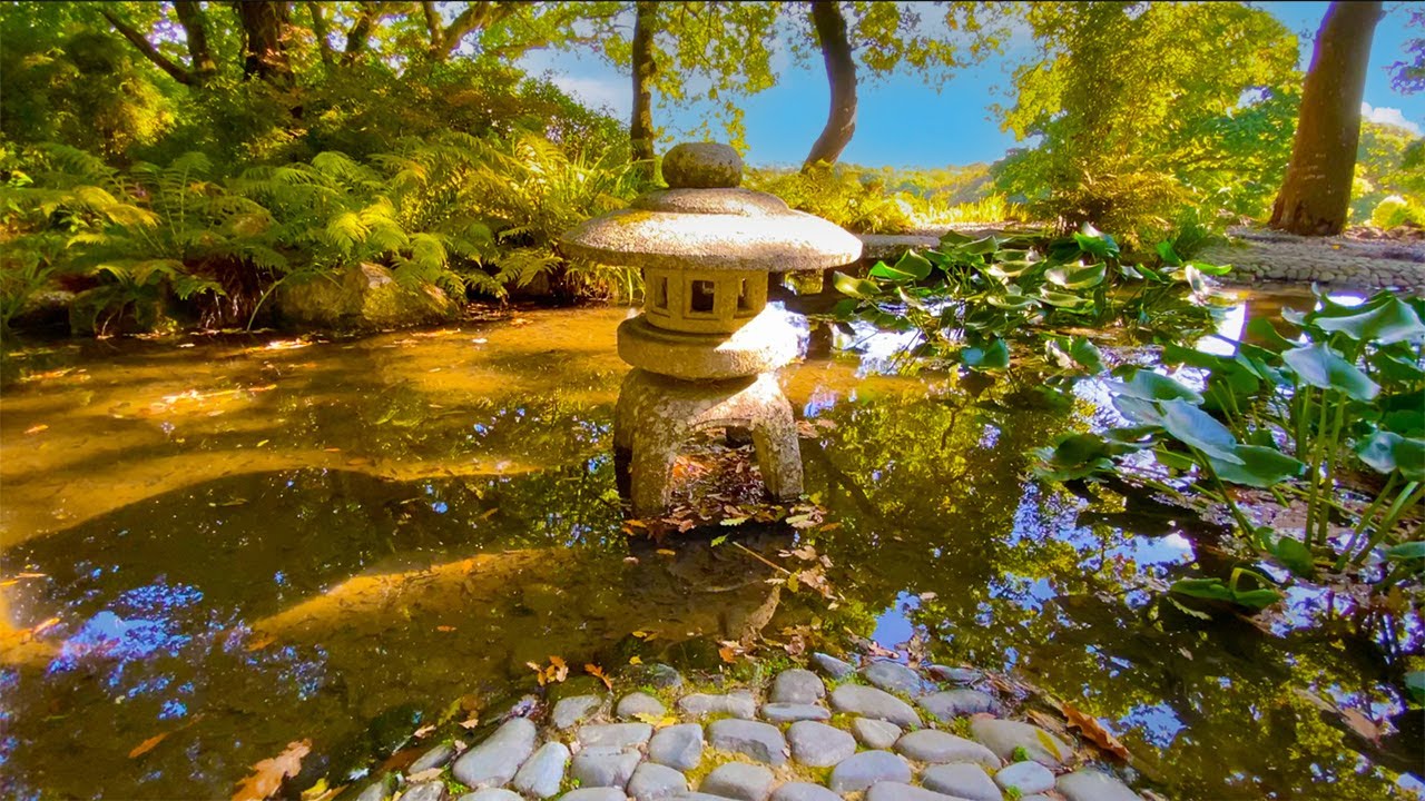 Explore an Iconic Small Japanese Garden in the UK: Serenity and Borrowed Landscape Beauty
