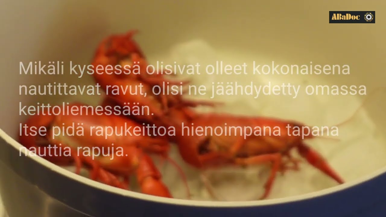 RAPUKEITTO. Osa I