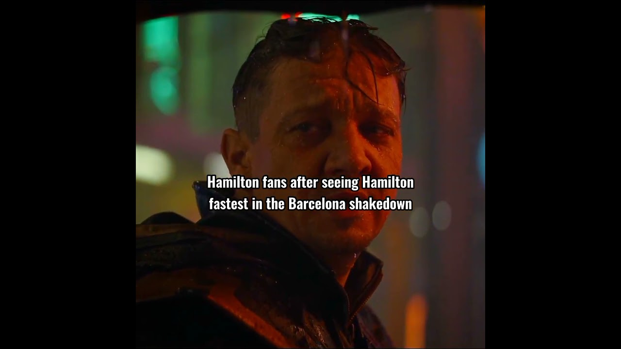 Hamilton Fans After Barcelona Shakedown