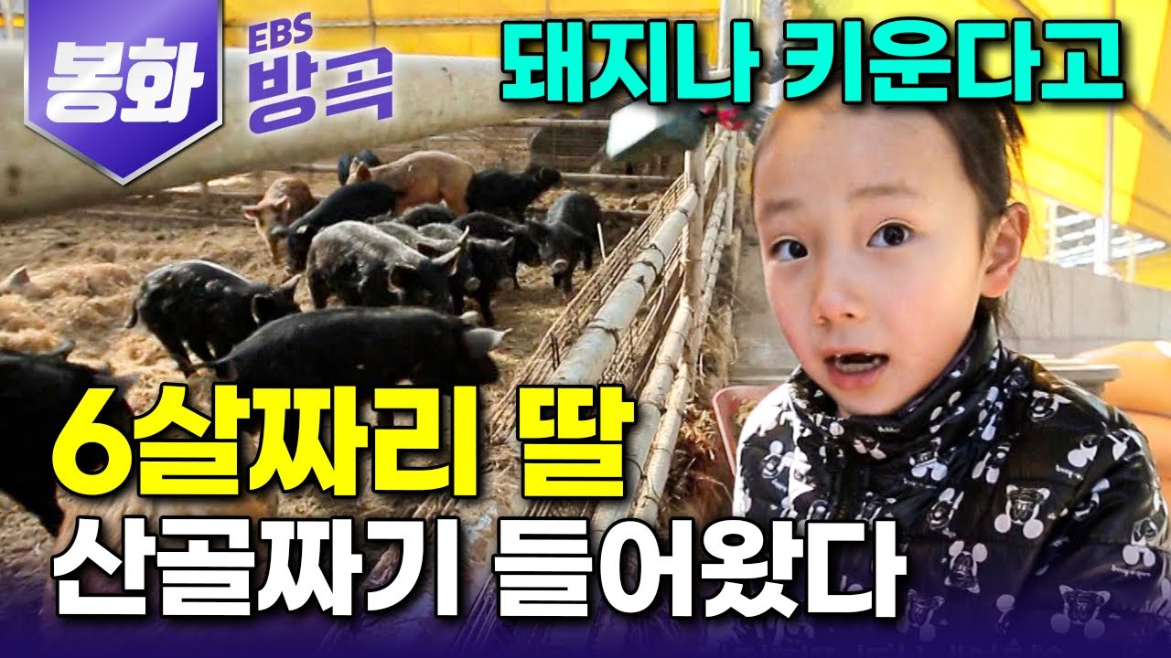 [경북 봉화] 