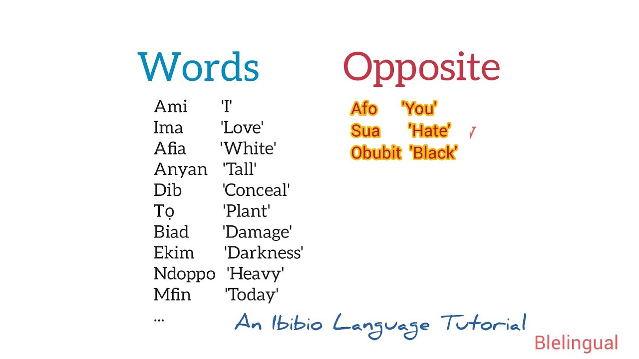 Learn Ibibio Words and Opposite #linguistics #languagelearning #viralvideo #ibibio #efik #akwaibom