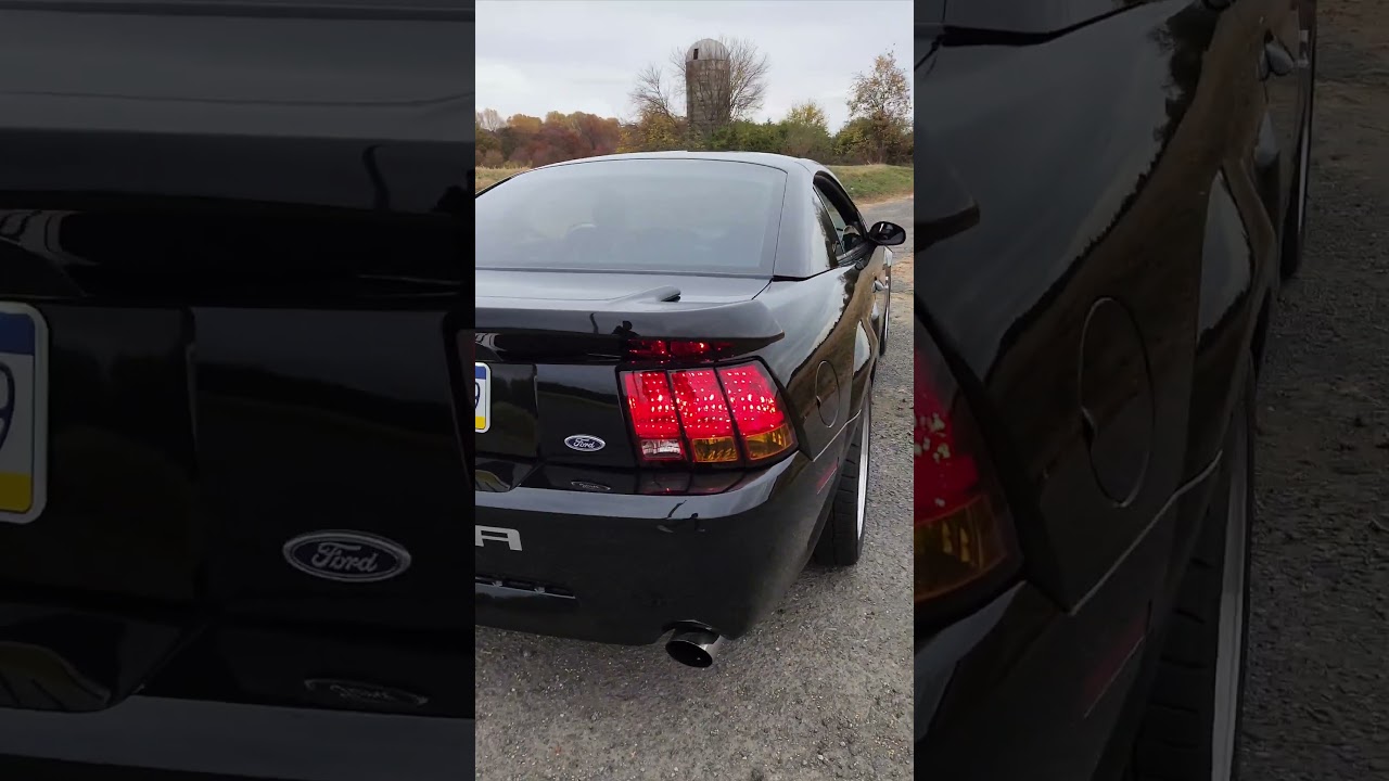 2001 Procharged Cobra Rev #automobile #terminator #fordcars #cobra #fast #mustangcobra #fordmustang