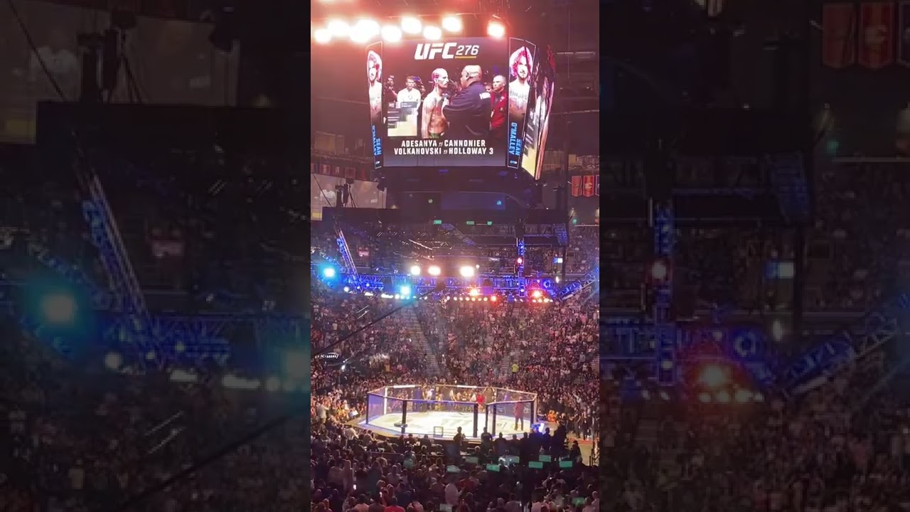Sean O Malley UFC 276 Walkout