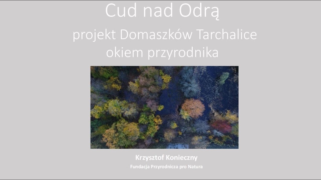 Cud nad Odrą