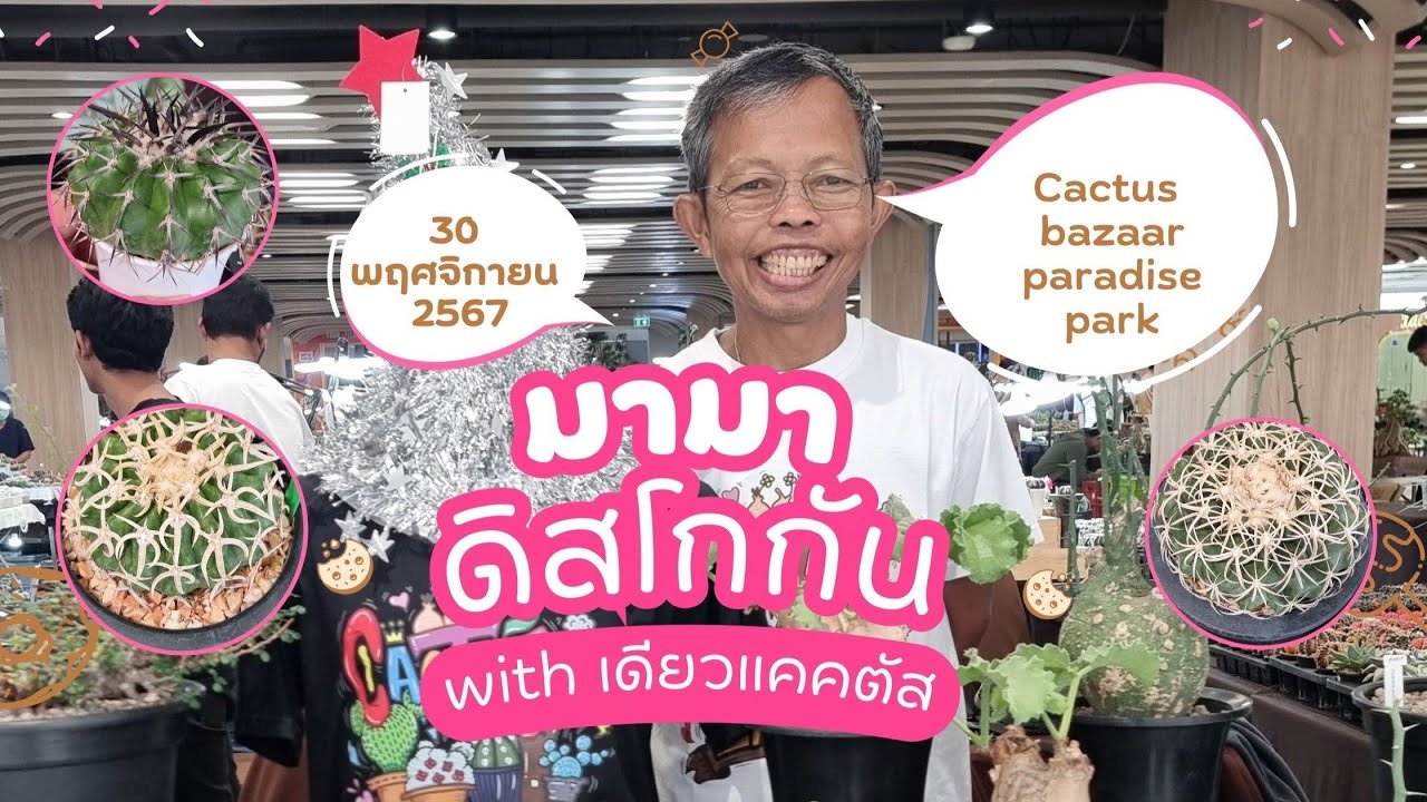 มามา ดิสโกกัน with เดียวแคคตัส
