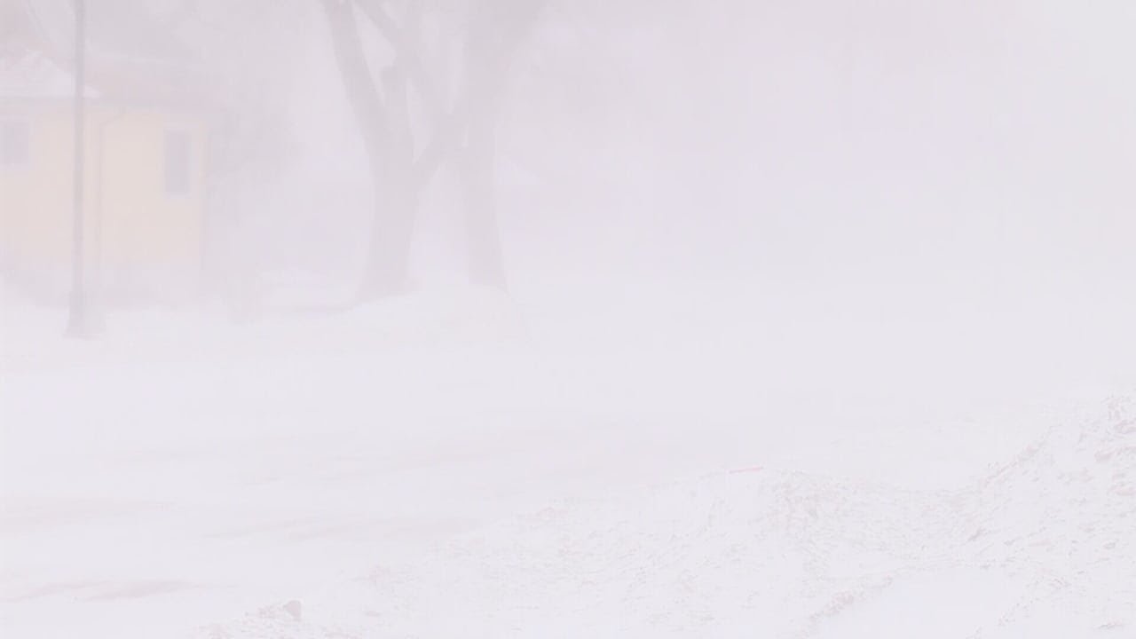 Staying safe in sudden whiteout conditions