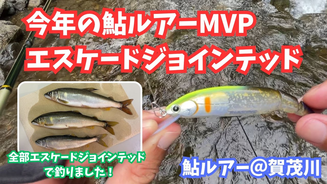 【鮎ルアー】今年イチ活躍したルアーはコレ！【賀茂川】