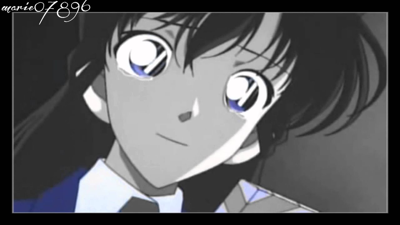 「ShinRan」Gomenasai