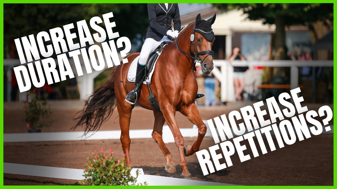 The BEST METHOD for teaching a HORSE from The Complete Online Dressage Course | How To Dressage