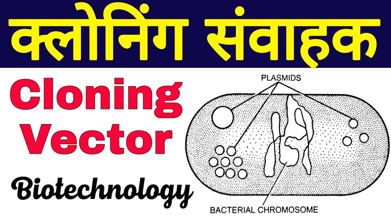 क्लोनिंग संवाहक | cloning vectors class 12 | cloning vector in biotechnology | Cloning samvahak