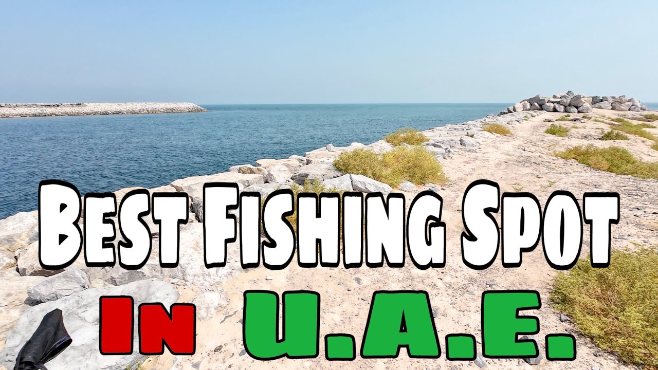 HIDDEN FISHING SPOT at AL HAMRIYA Ajman-Sharjah UAE