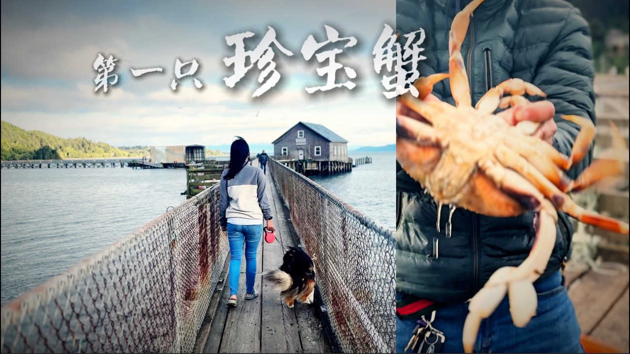 暑假第二站：我們來到俄勒岡最古老的捕蟹棧橋 | 美國西海岸房車旅行 ·OG