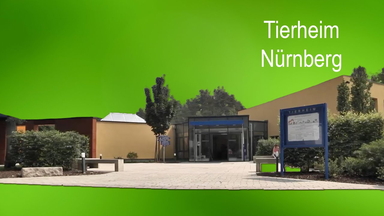 Tierheim Nürnberg - ein Portrait